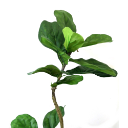Drzewko dekoracyjne Figowiec 120cm